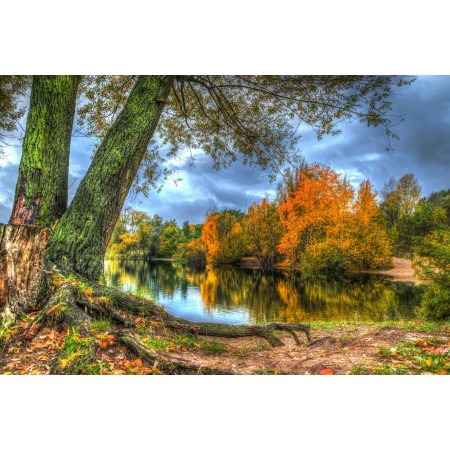 Autumn Scenery Pictures Photographic Print Poster Trees Lake, landscape, skys, clouds, reflection