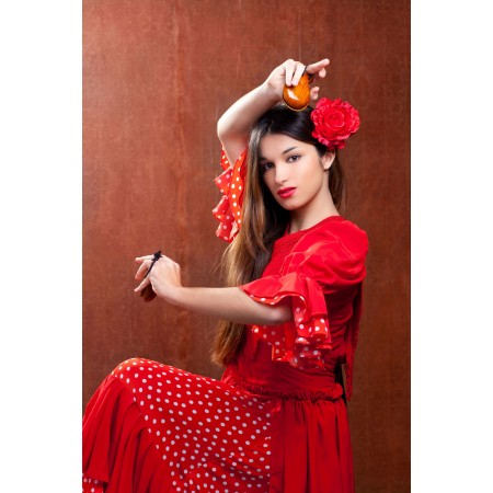 Flamenco Dancer 24"x36" Art Print Poster - Spain gypsy
