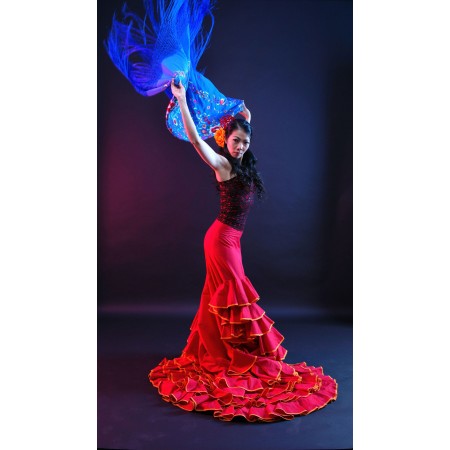 Spanish flamenco Art Print Poster 24"x42" - Dance and Live. Flamenco en 2019 Arte 