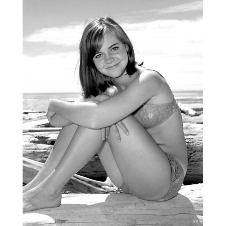 A young Sally Field, 1965 24"x30" Photo Print Poster