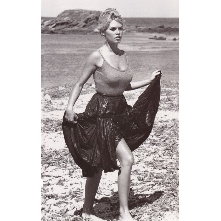 Brigitte Bardot 24"x15" Photo Print Poster Vintage Celebrates