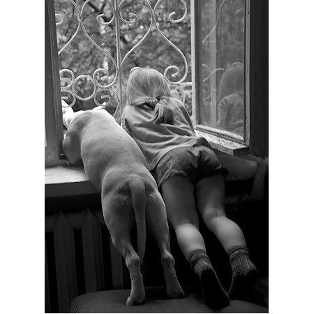 Cute Girl and Dog Looking Out 17"x24" Vintage Poster