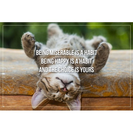 My Morning Affirmations Quotes Photographic Print Poster  - Being miserable is a habit being happy is a habit and the choice is yours