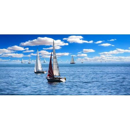 50x24 in Photographic Print Poster Sailing Boat Sail Vacations Holidays Summer Holiday