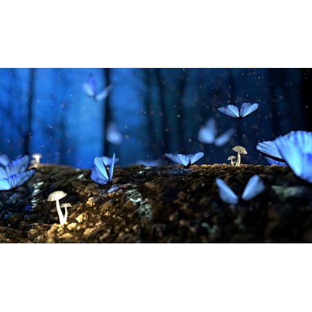 42"x24" Photographic Print Poster Butterfly Blue Forest Fantasy Woods Dream Surreal