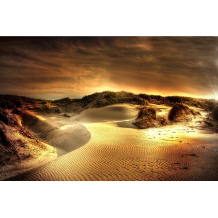 36"x24" Photographic Print Poster Dunes Sea North Sea Beach Sand Denmark Summer