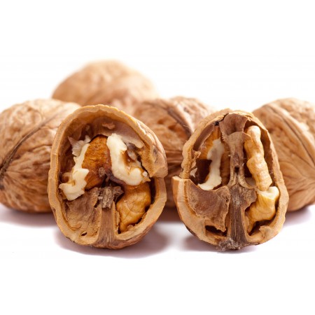 36x24 in Photographic Print Poster Walnuts Nuts Brown Close-up Cracked Dry Food