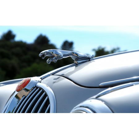 38"x24" Photographic Print Poster Car hood ornaments Collection Jaguar Close Up