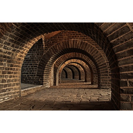 Photographic Print Poster Photographic Vaulted Cellar Tunnel Arches Keller Cellar Speed