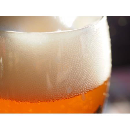 32x24 in Photographic Print Poster Beer foam Head Beer Wheat beer Beer glass