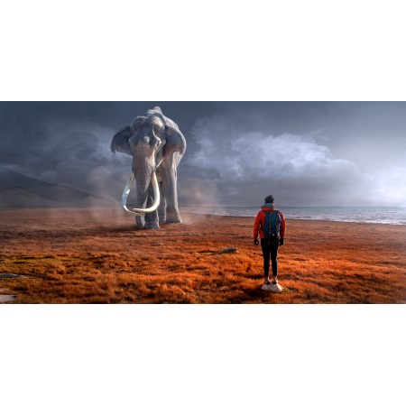 Photographic Print Poster Photographic Fantasy Landscape Elephant Man Composing Mystical