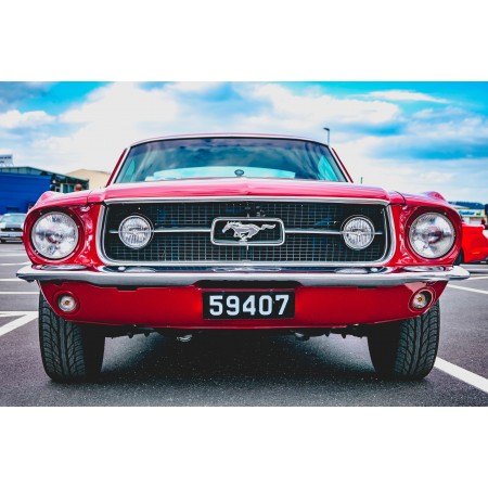 35"x24" Photographic Print Poster Front Vehicle Oldtimer Red Mustang Classic Muscle