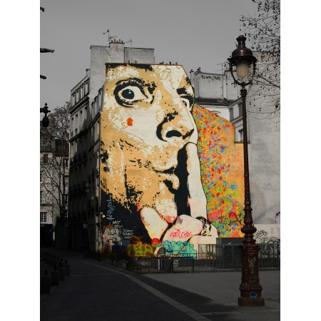 24x18 in Fine Art Print Poster Salvador Dalí Graffiti Wall Art Portrait Paris