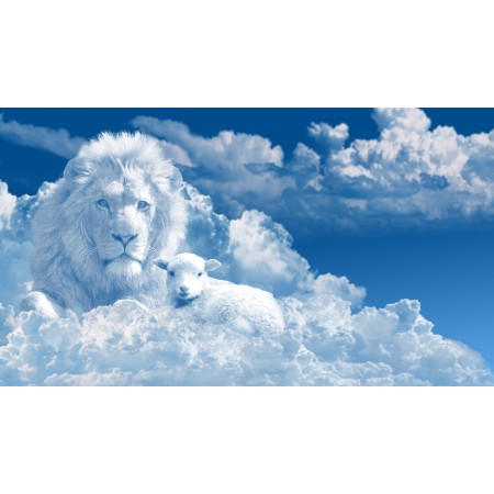 42x24 in Photographic Print Poster Clouds sky Lion