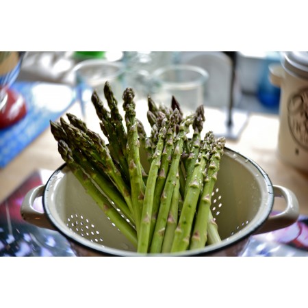 35x24 in Photographic Print Poster Asparagus Green Vegetable Food Healthy Cooking