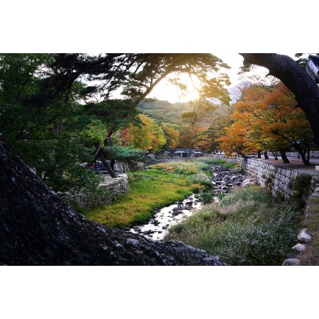 36x24 in Photographic Print Poster Beomeosa temple Creek Nature Glow Autumn leaves