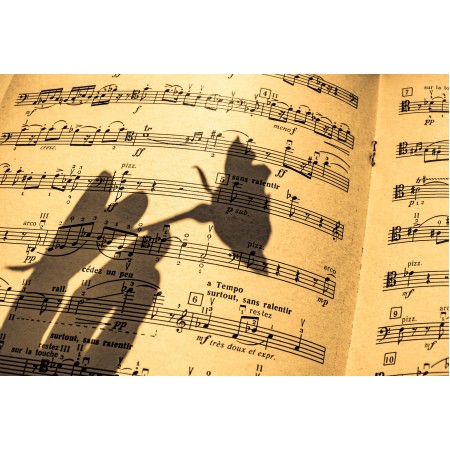 35x24 in Photographic Print Poster Music sheet In a shadow Flute Piano Pattern