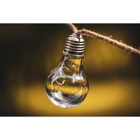 36"x24" Photographic Print Poster Light Bulb Energy Nature Environment Ecology