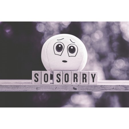 36"x24" Photographic Print Poster Excuse Me Sorry Smiley Cute Forgiveness