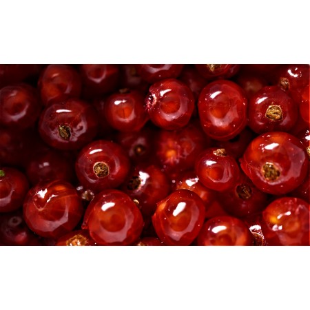 40x24 in Photographic Print Poster Currants Red Kitchen Eat Healthy diet Berries