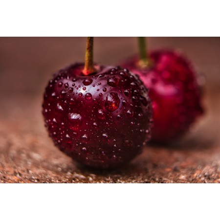 36x24 in Photographic Print Poster Cherries Wet Washed Drop of water Fruit Nature