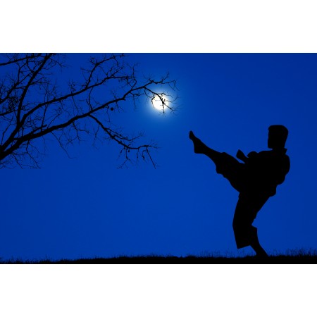 36"x24" Photographic Print Poster Night Moon Nature Sport Combat Karate Kata Dark