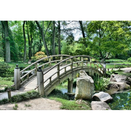 35x24 in Photographic Print Poster Bridge Park Garden Japanese garden Path Walkway