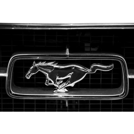 36"x24" Photographic Print Poster Ford Mustang Ford Auto Logo Horse Automotive