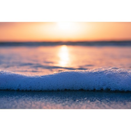 36x24 in Photographic Print Poster Bubbles Sea foam Spume Beach Sunset Ocean Sea
