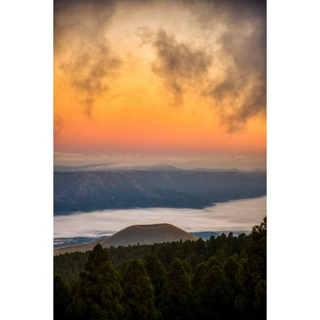 24x16 in Photographic Print Poster Mountains Forest Trees Vegetation Horizon Sunset