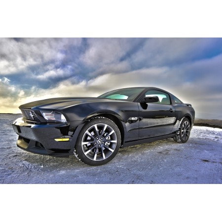 36"x24" Photographic Print Poster Ford Mustang Auto Vehicle Muscle Automotive