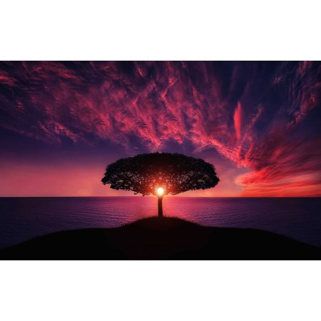 36"x24" Photographic Print Poster Tree Sunset Amazing Beautiful Breathtaking