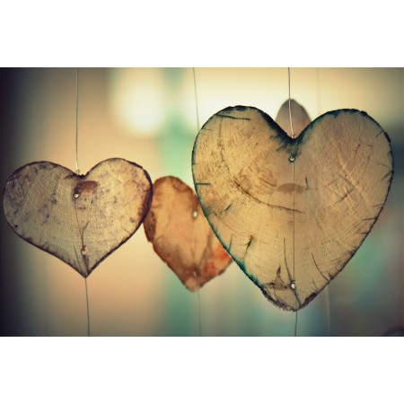35x24in Poster Heart Love Romance Valentine Harmony Romantic