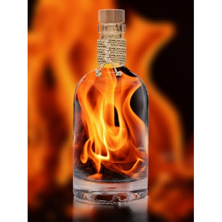 18x24in Poster Flames Embers Bottle Fiery Vodka Hot Burn Campfire