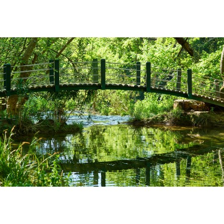 35x24in Poster Nature Park River Bridge Waterfall Reflection