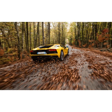 39"x24" Poster Lamborghini Aventador yellow rear, fall, Luxury Cars