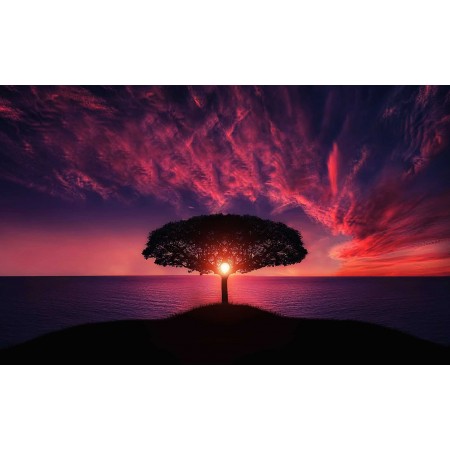 24x14in Poster Tree Sunset Clouds Sky Silhouette Hill Sea Ocean