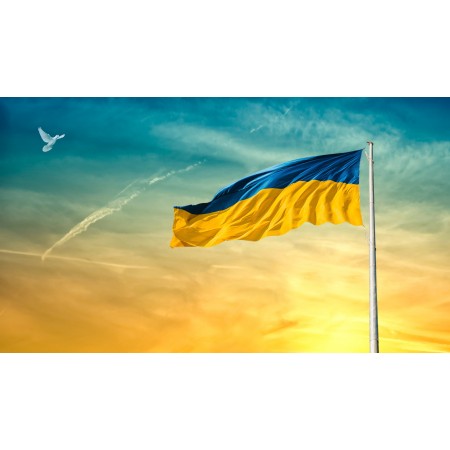 42x24in Poster Ukraine Flag Sky Dove Bird Clouds Peace Mast