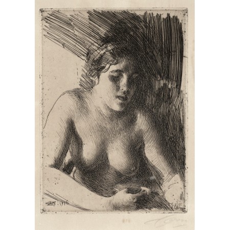 24"x16" Fine Art Print Poster Anders Zorn - Bust etching 1915