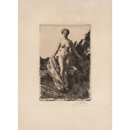 Fine Art Print Poster Anders Zorn - Summer (etching) 1907