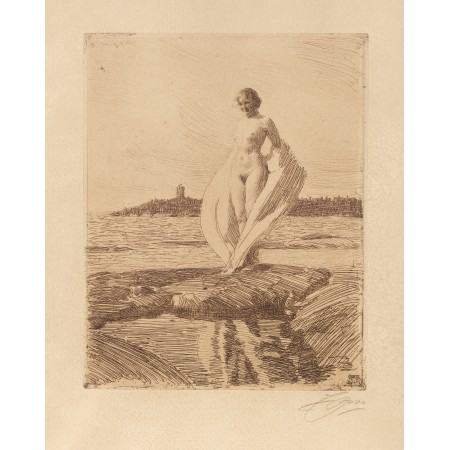 Fine Art Print Poster Anders Zorn - The Swan etching 1915