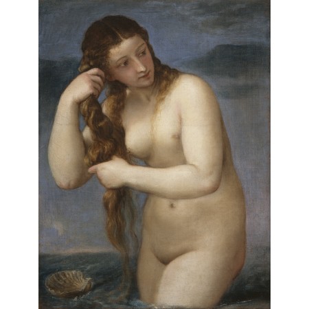 24x31in Poster Titian Tiziano Vecellio Venus Rising from the Sea Venus Anadyomene