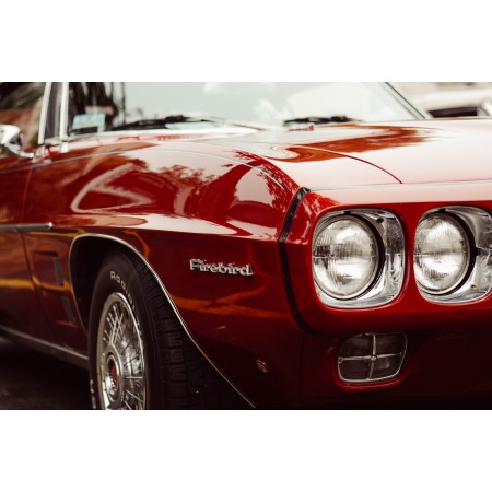 24"x36" Poster Pontiac Firebird close up Vintage red