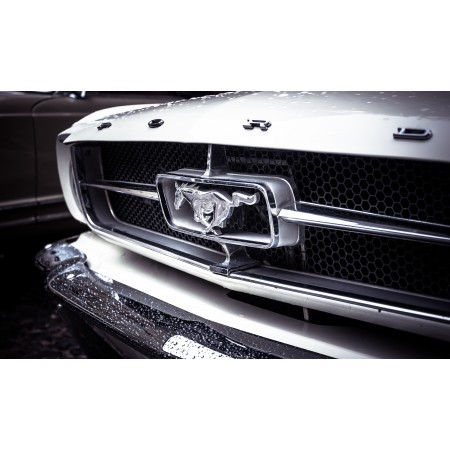 24"x40" Photo Quality Poster Ford Mustang front grill close up