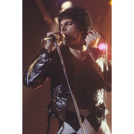 Poster Queen - Freddie Mercury in New Haven, CT at a WPLR Show