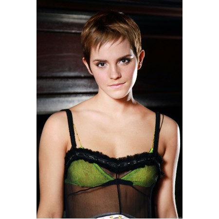 24x36in Poster Emma Watson in see through dress