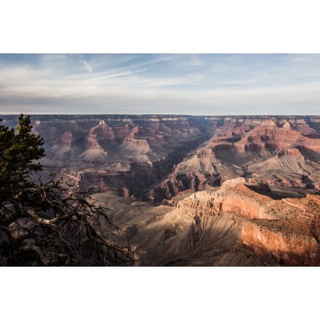 36x24in Poster Grand Canyon National Park, Arizona