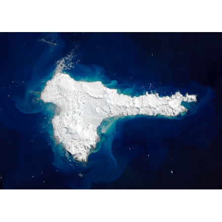 33x24in Poster Elephant Island by Landsat