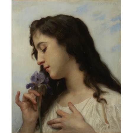 19x24in Poster Bouguereau, William-Adolphe, Woman with Iris, 1895