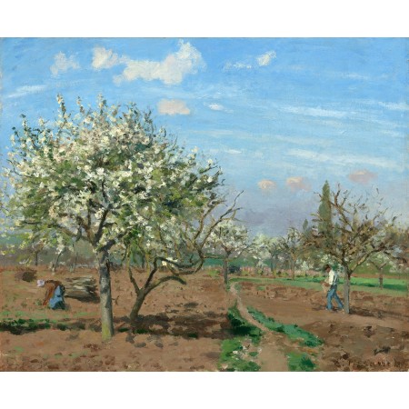24"x30" Poster Camille Pissarro - Orchard in Bloom, Louveciennes Le verger 1872